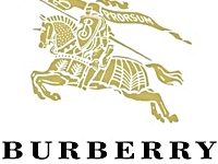 BURBERRY LOGO 200x150