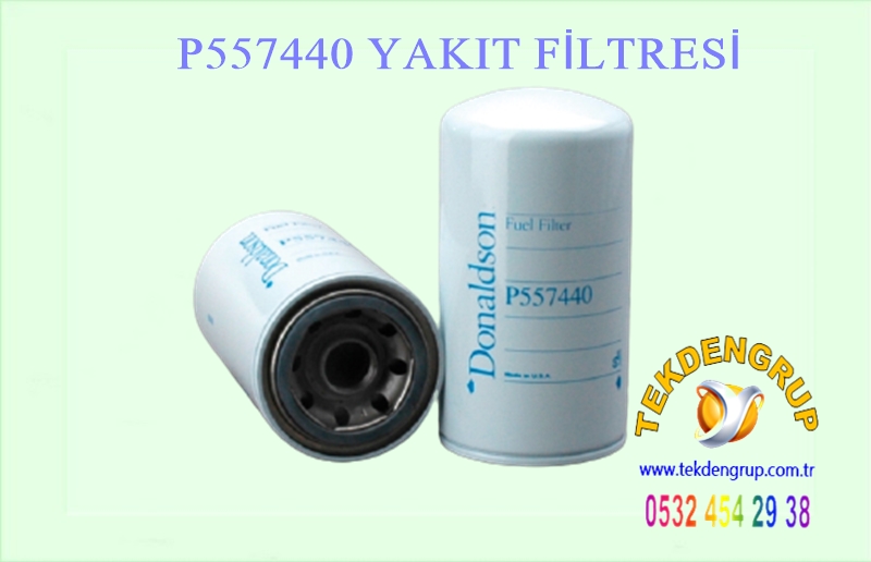 P557440 YAKIT FİLTRESİ 1R0750 CAT