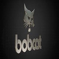 Bobcat