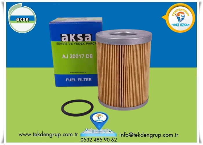 AJ30017DB YAKIT FİLTRESİ AKSA